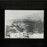 Böhl glass slide 61.3/1764b